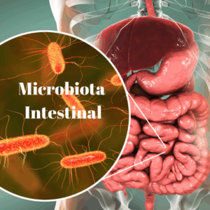 la microbiota intestinal es una comunidad microscópica que habita el aparato digestivo e interviene en el estado de salud y/o enfermedad