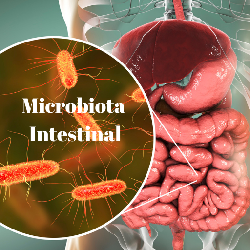 la microbiota intestinal es una comunidad microscópica que habita el aparato digestivo e interviene en el estado de salud y/o enfermedad