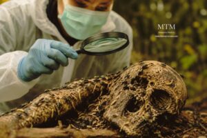 Especialista en entomología forense examinando insectos necrófagos y larvas presentes sobre restos humanos en descomposición para estimar el intervalo post mortem durante una investigación criminal.